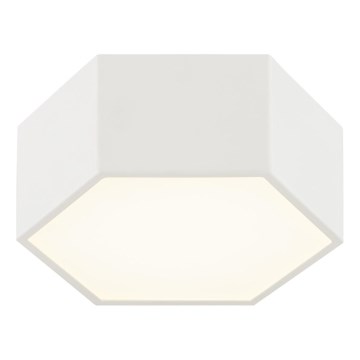 Argon 8781 - Стельовий LED світильник LIBERO LED/12W/230V 3000K білий