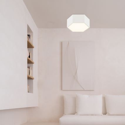 Argon 8781 - Стельовий LED світильник LIBERO LED/12W/230V 3000K білий