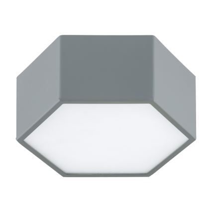 Argon 8784 - Стельовий LED світильник LIBERO LED/12W/230V 3000K сірий