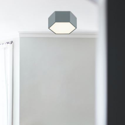 Argon 8784 - Светодиодный потолочный светильник LIBERO LED/12W/230V 3000K серый