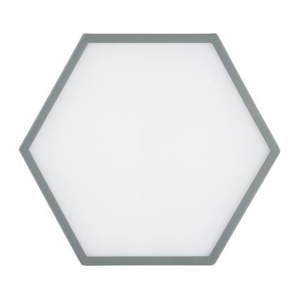 Argon 8784 - Светодиодный потолочный светильник LIBERO LED/12W/230V 3000K серый