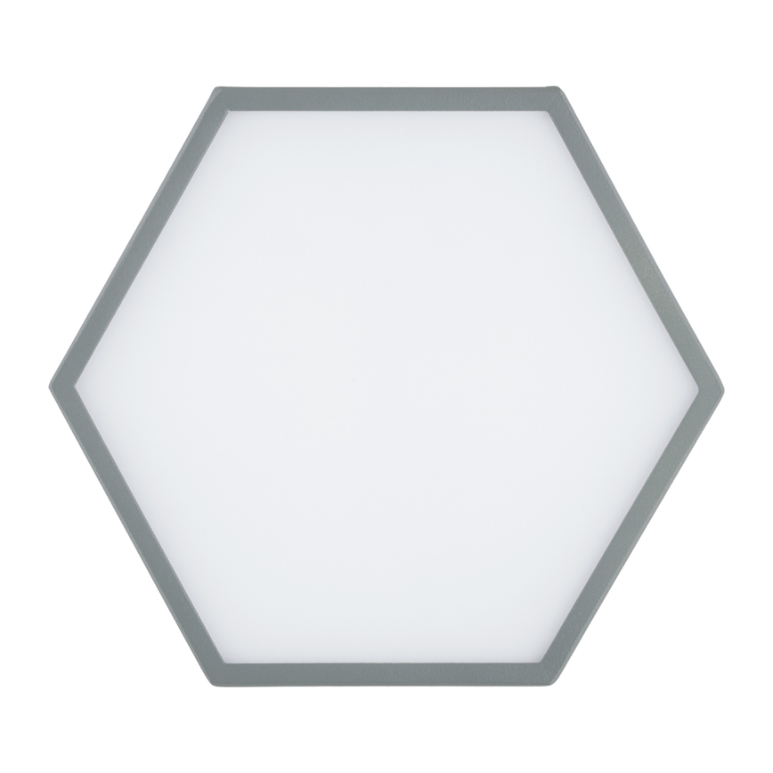 Argon 8784 - Светодиодный потолочный светильник LIBERO LED/12W/230V 3000K серый