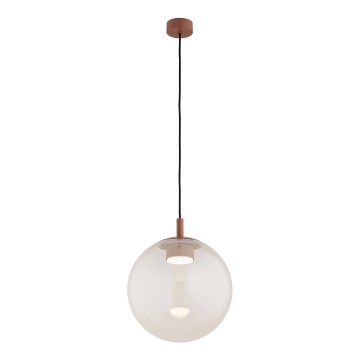 Argon 8829 - Подвесная люстра SACRAMENTO 1xGX53/8W/230V прозрачный/коричневый