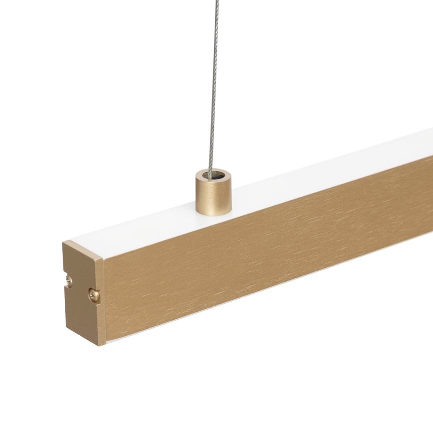 Argon 8836 - Світлодіодна підвісна люстра MIAMI LED/37W/230V 3000K золотий