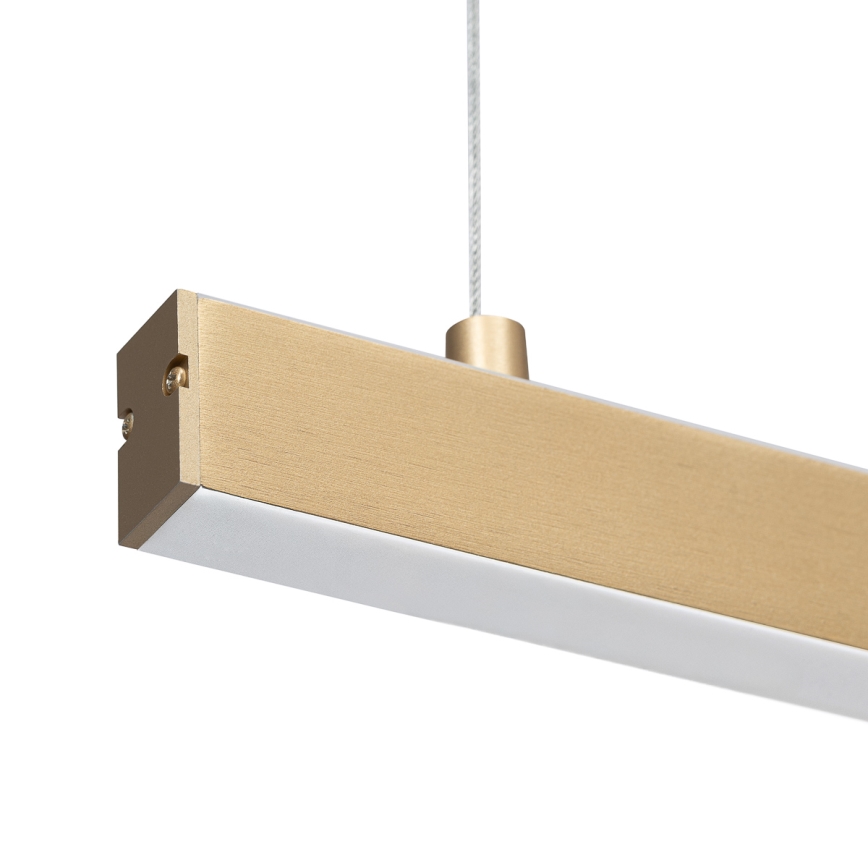 Argon 8836 - Світлодіодна підвісна люстра MIAMI LED/37W/230V 3000K золотий