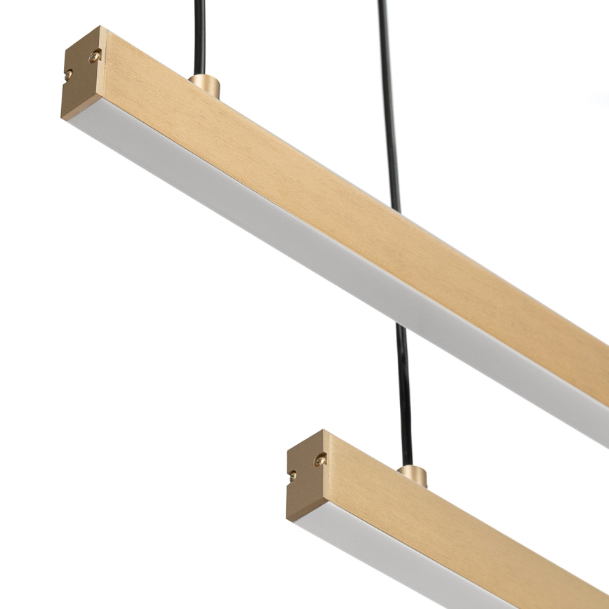 Argon 8839 - Світлодіодна підвісна люстра MIAMI LED/74W/230V 3000K золотий
