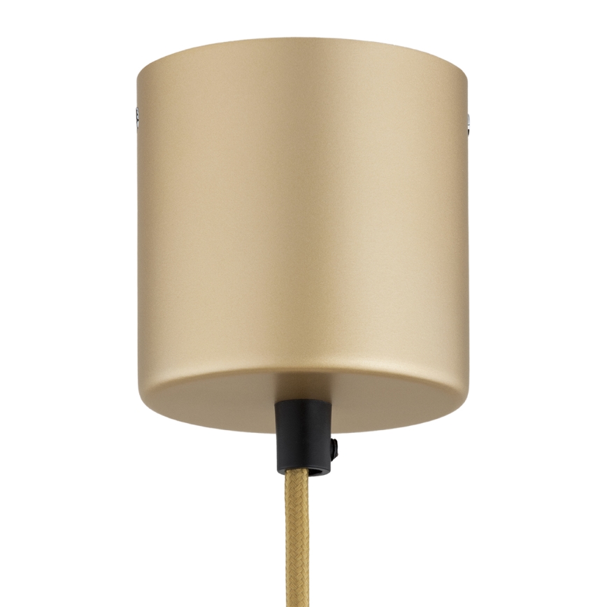 Argon 8869 - LED люстра на тросе BOLTON LED/12,5W/230V 3000K золотая