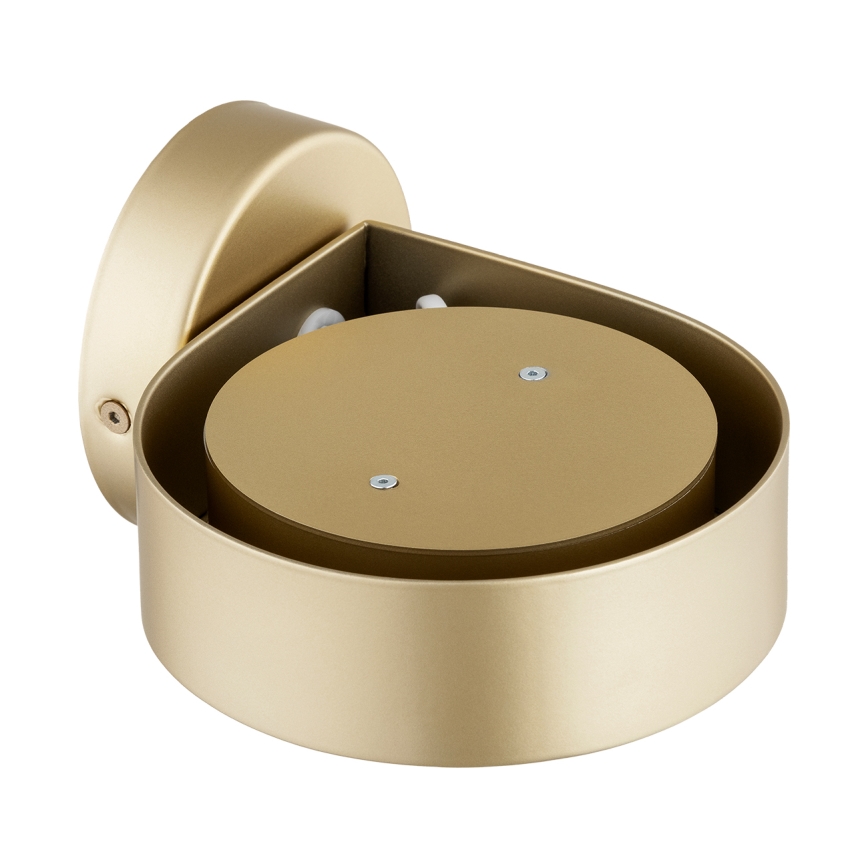 Argon 8899 - Настенный светильник LOTUS 1xGX53/12W/230V, золотой