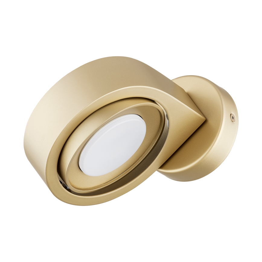 Argon 8899 - Настінний світильник LOTUS 1xGX53/12W/230V золотий