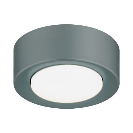 Argon 8917 - Потолочный светильник ELORA 1xGX53/7W/230V, диаметр 11 см, серый