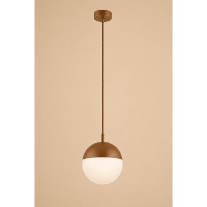 Argon 8998 - Вулична підвісна люстра на тросі LIV 1xE27/15W/230V IP44 коричнева
