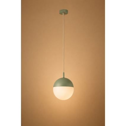 Argon 8999 - Уличный подвесной светильник на тросе LIV 1xE27/15W/230V IP44 зелёный