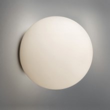 Artemide AR 0117010A - Потолочный светильник для ванной комнаты DIOSCURI 420 1xE27/150W/230V IP44