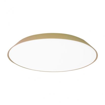 Artemide AR 0241320A - Світлодіодний стельовий світильник FEBE 4xLED/30W/230V