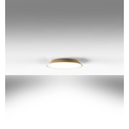 Artemide AR 0241320A - Світлодіодний стельовий світильник FEBE 4xLED/30W/230V
