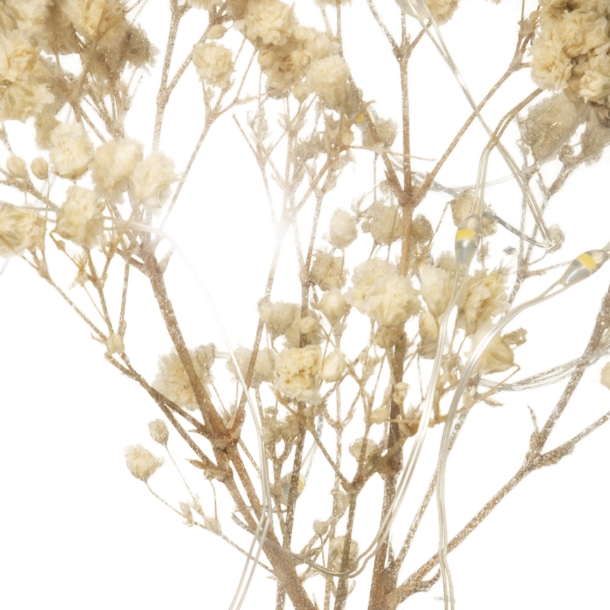 Atmosphera - LED настольная лампа MICRO LED/2xAAA антрацит