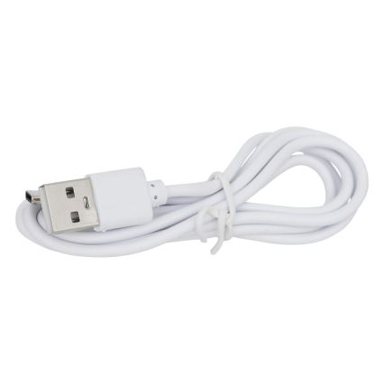 Atmosphera - LED RGBW Акумуляторна вулична настільна лампа ZACK LED/3,7V 1200 mAh IP44 бірюзовий