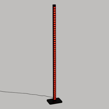 Atmosphera - Світлодіодний RGB торшер з регулюванням яскравості BEE LED/230V + пульт дистанційного керування