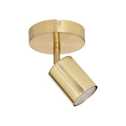 Atmosphera - Настенный точечный светильник VICO 1xGU10/25W/230V золотой