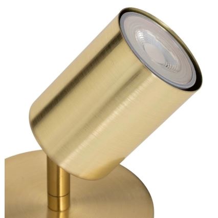 Atmosphera - Настінний точковий світильник VICO 1xGU10/25W/230V золотий