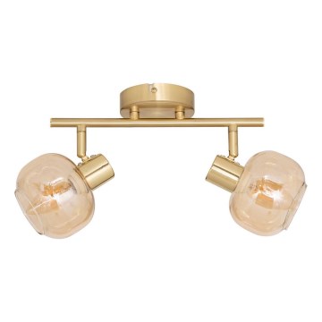 Atmosphera - Точковий світильник PILIA 2xE14/25W/230V