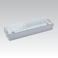 Аварийный светильник CARLA LED LED/5,51W/230V IP65 (длительность 1 ч)