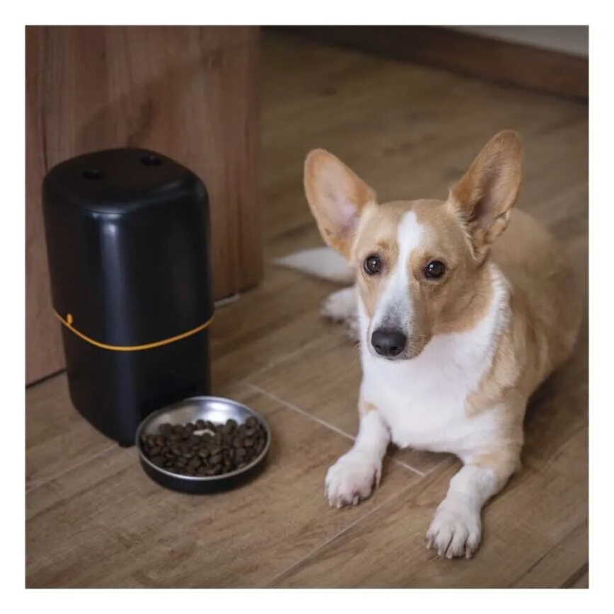 Автоматическая кормушка 4 л/5V/3xD черный Wi-Fi