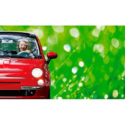 Автомобільна лампа Philips ECO VISION 12342LLECOB1 H4 P43t-38/55W/12V