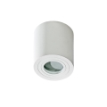 Azzardo AZ2690 - Потолочный светильник для ванной комнаты BRANT 1xGU10/50W/230V IP44