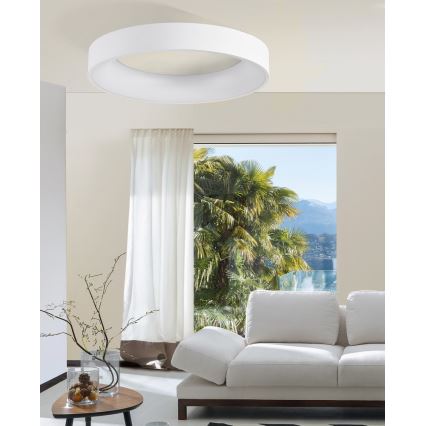 Azzardo AZ2724 - Светодиодный потолочный светильник с регулированием яркости SOVANA 1xLED/50W/230V + дистанционное управление