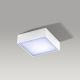 Azzardo AZ2781 - Светодиодный потолочный светильник FALCO LED/12W/230V