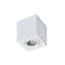 Azzardo AZ2822 - Потолочный светильник для ванной комнаты BRANT 1xGU10/50W/230V IP44
