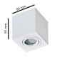 Azzardo AZ2822 - Потолочный светильник для ванной комнаты BRANT 1xGU10/50W/230V IP44