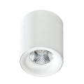 Azzardo AZ2845 - Светодиодный потолочный светильник MANE 1xLED/10W/230V