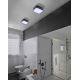 Azzardo AZ4146 - Потолочный светильник для ванной комнаты LUCIE 2xE27/20W/230V IP44