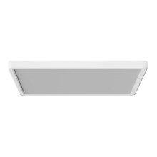Azzardo AZ5359 - Светодиодный потолочный светильник для ванной комнаты с датчиком PANKA LED/18W/230V IP40 белый