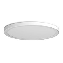 Azzardo AZ5365 - Светодиодный потолочный светильник с регулированием яркости для ванной комнаты PANKA LED/24W/230V IP40 белый