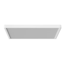 Azzardo AZ5371 - Светодиодный потолочный светильник с регулированием яркости для ванной комнаты PANKA LED/24W/230V IP40 белый