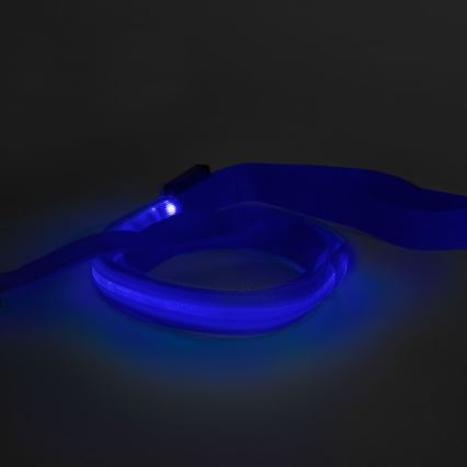 Акумуляторний LED повідок 120 см 2xCR2032/5V/40 mAh синій