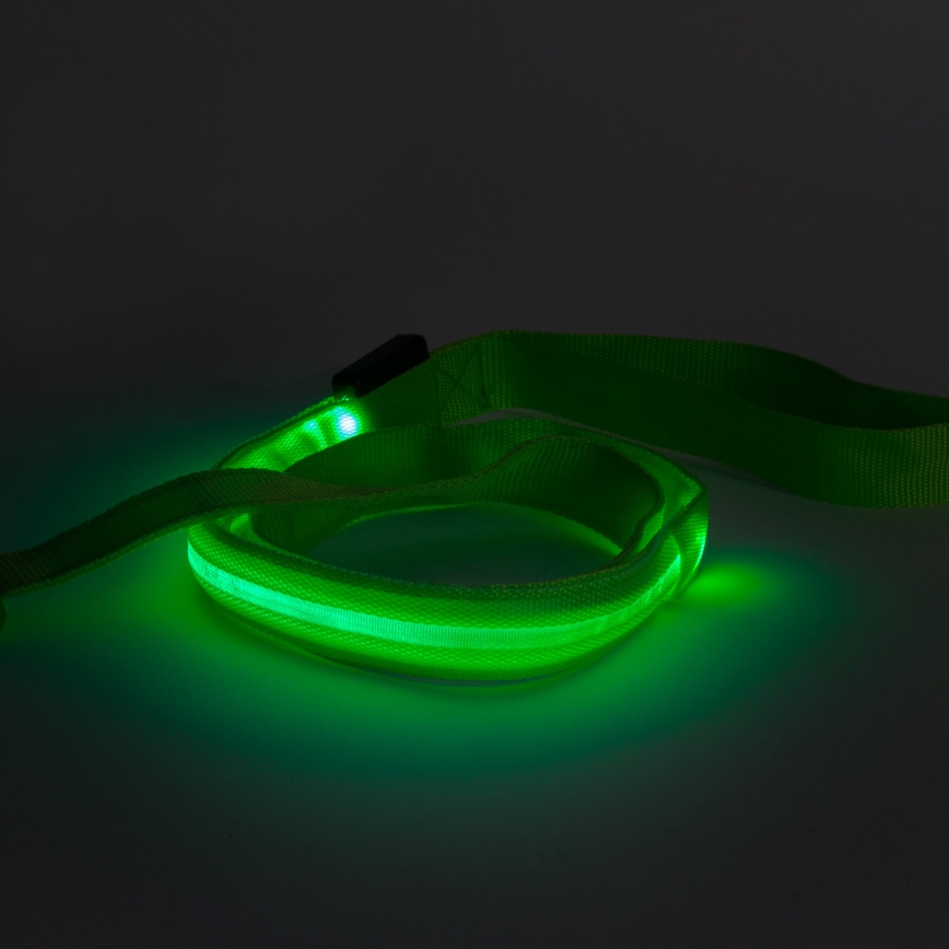 Акумуляторний LED повідок 120 см 2xCR2032/5V/40 mAh зелений