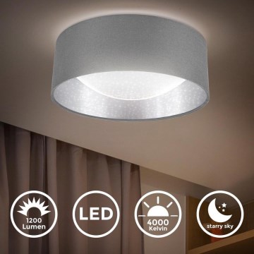 B.K. Licht 1308 - Светодиодный потолочный светильник LED/12W/230V