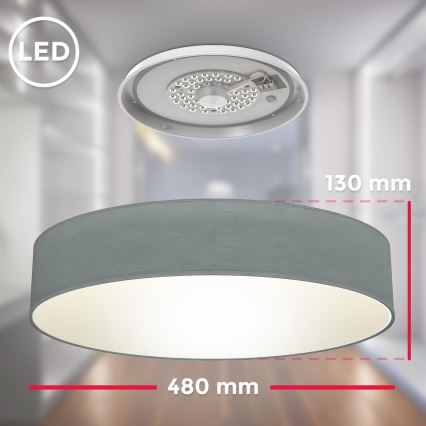 B.K. Licht 1393 - Светодиодный потолочный светильник LED/20W/230V серая