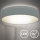 B.K. Licht 1393 - Світлодіодний стельовий світильник LED/20W/230V сірий