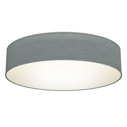 B.K. Licht 1393 - Світлодіодний стельовий світильник LED/20W/230V сірий