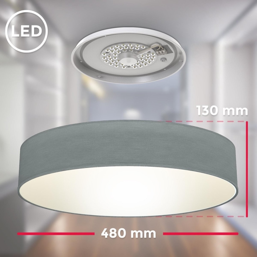 B.K. Licht 1393 - Світлодіодний стельовий світильник LED/20W/230V сірий