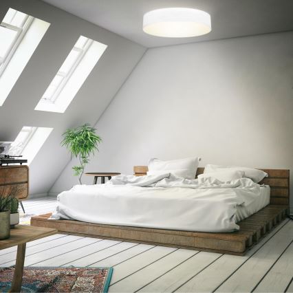 B.K. Licht 1394 - Світлодіодний стельовий світильник LED/20W/230V білий