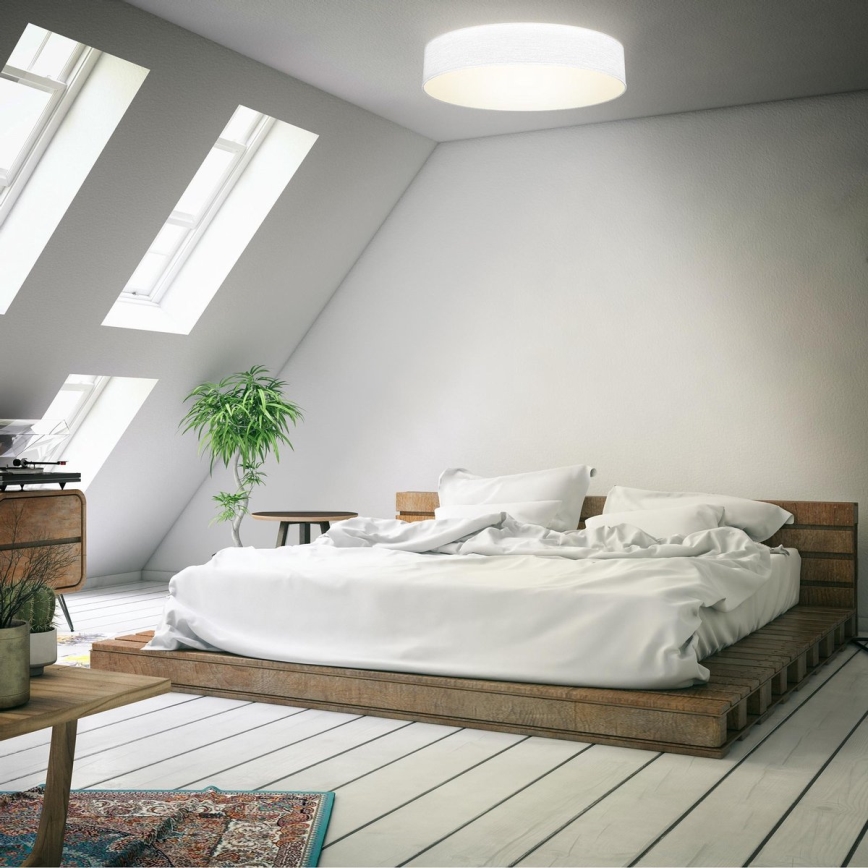 B.K. Licht 1394 - Світлодіодний стельовий світильник LED/20W/230V білий
