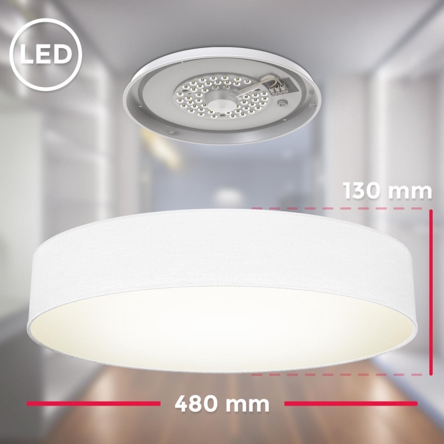 B.K. Licht 1394 - Світлодіодний стельовий світильник LED/20W/230V білий