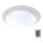 B.K.Licht BKL1025 - LED RGB Димерний стельовий світильник для ванної кімнати ASKELLA LED/12W/230V IP44 + дистанційне керування
