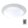 B.K.Licht BKL1025 - Светодиодный RGB-светильник для ванной комнаты с регулированием яркости ASKELLA LED/12W/230V IP44 + дистанционное управление